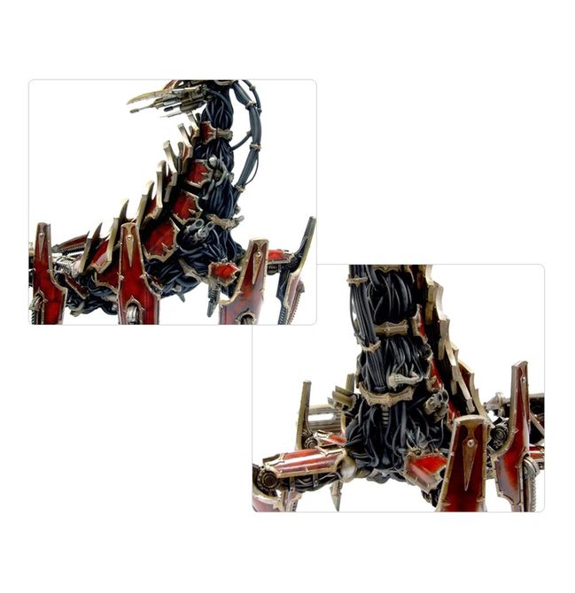 Greater Brass Scorpion - view 3