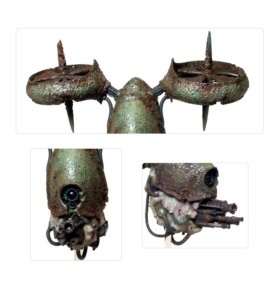 その他 Greater Blight Drone Greater Blight Drone