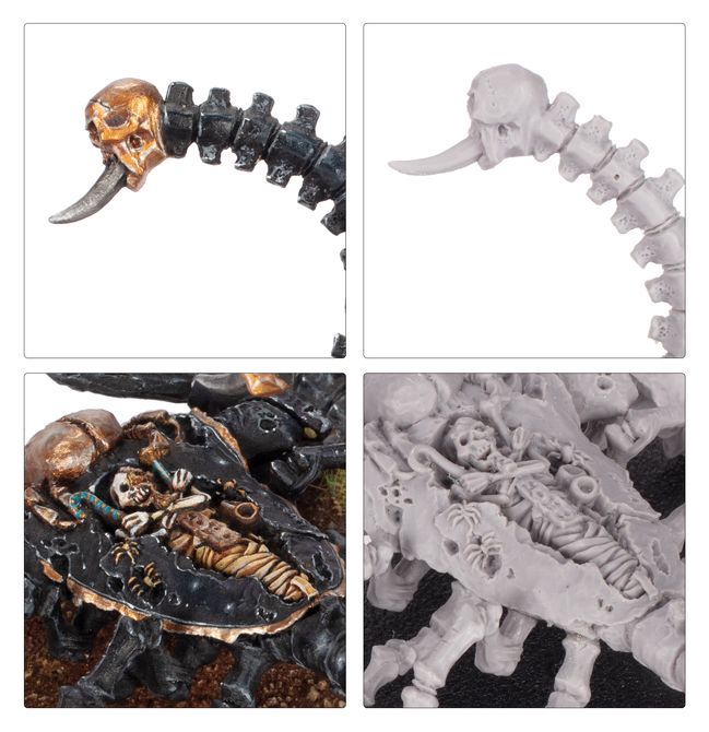 Tomb Scorpion - view 3