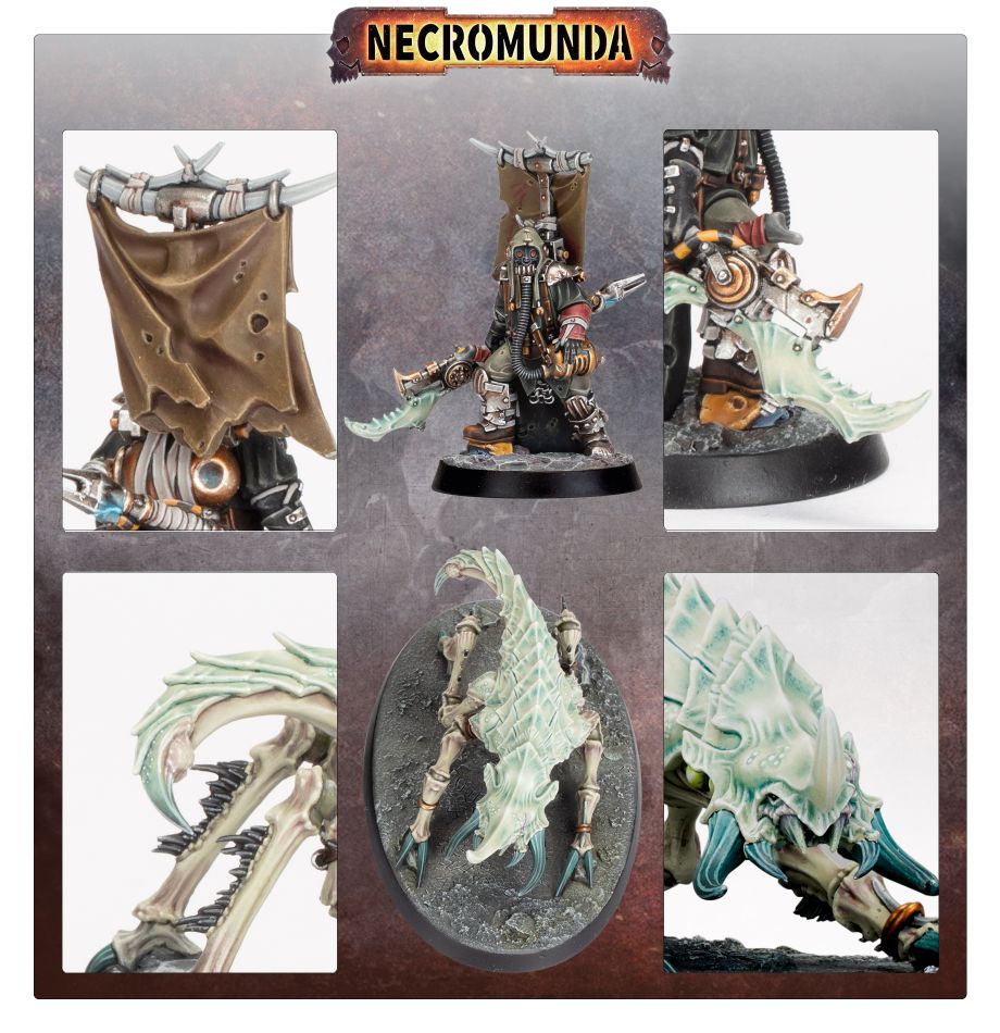 Ash Waste Nomads Herder with Arthromite Duneskuttler