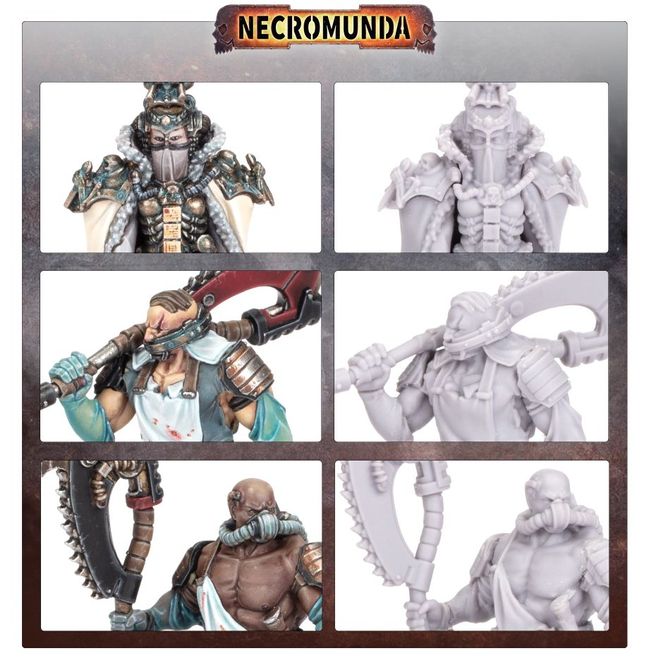 Mercator Pallidus Corpse Harvesting Party - view 8