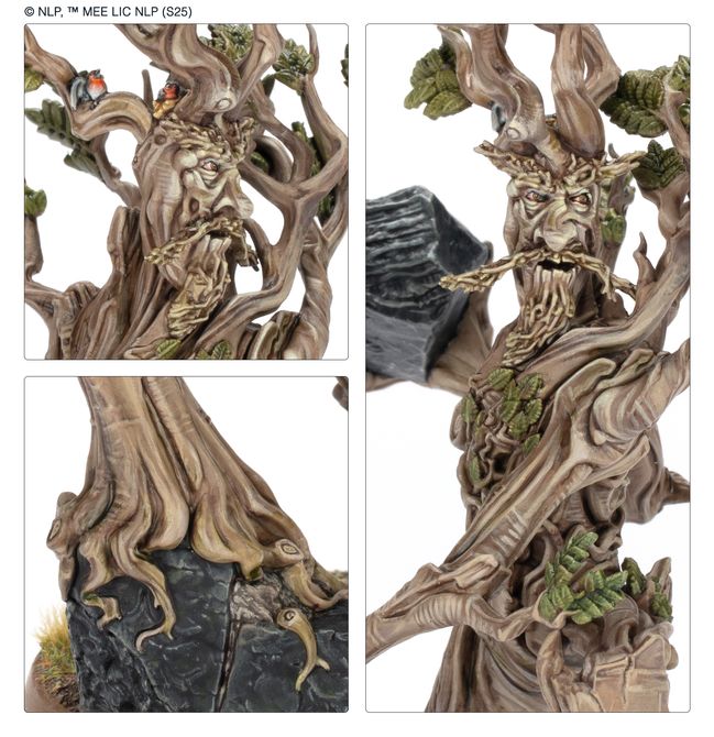 Beechbone™ the Ent™ - view 3