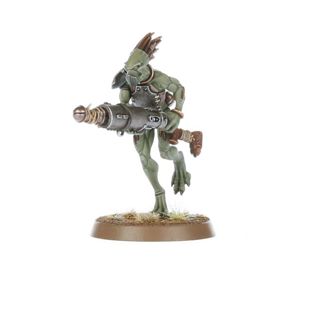 Kroot Carnivores - view 4