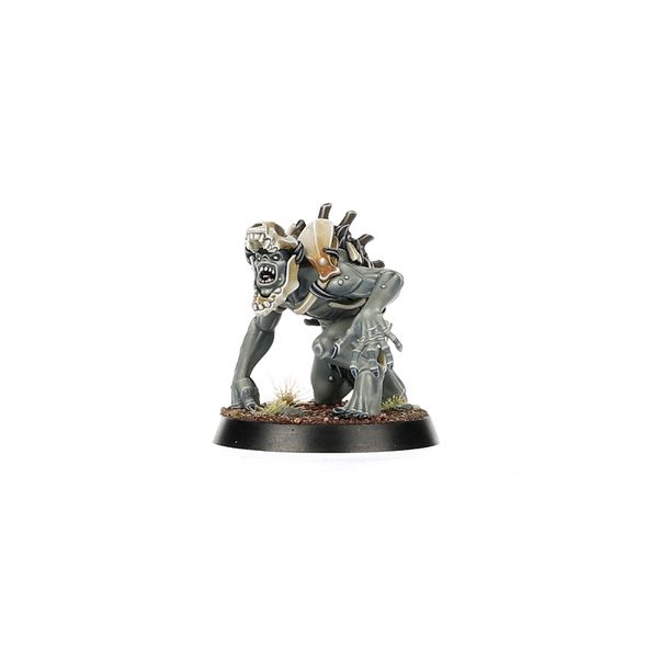 Warcry: Royal Beastflayers