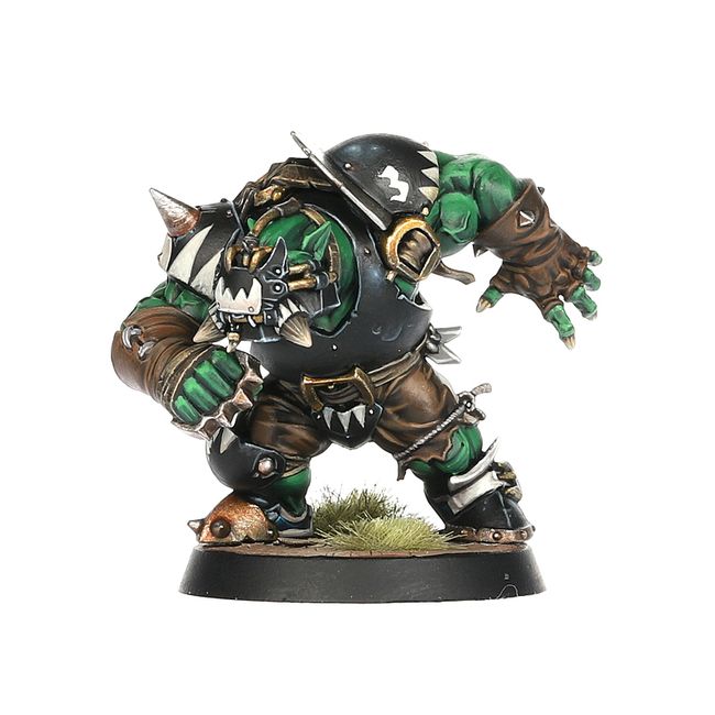 Black Orc Blood Bowl Team: The Thunder Valley Greenskins - view 2
