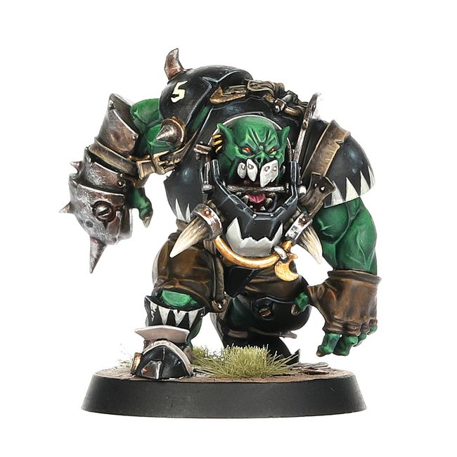 Black Orc Blood Bowl Team: The Thunder Valley Greenskins - view 3