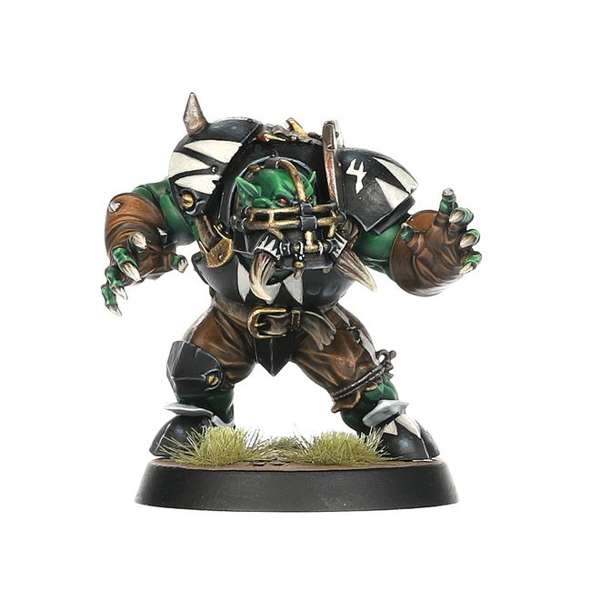 Black Orc Blood Bowl Team: The Thunder Valley Greenskins - view 4