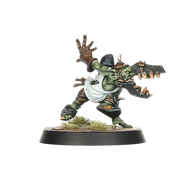 Black Orc Blood Bowl Team: The Thunder Valley Greenskins - view 6