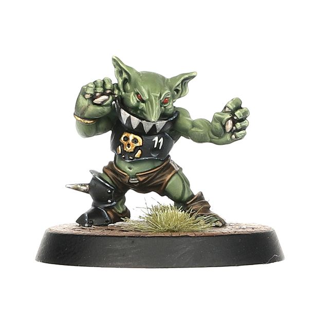 Black Orc Blood Bowl Team: The Thunder Valley Greenskins - view 7