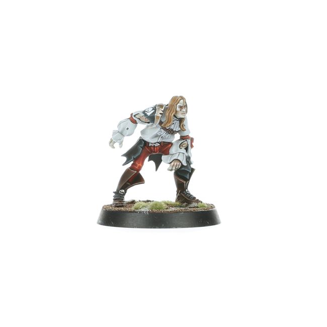 Vampire Blood Bowl Team: The Drakfang Thirsters - view 6