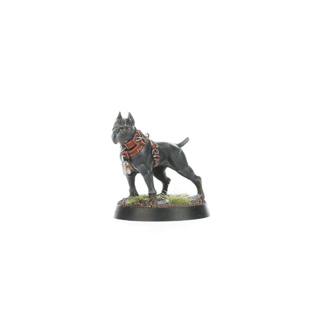 Regiment of Renown: Ven Denst's Hounds - view 13