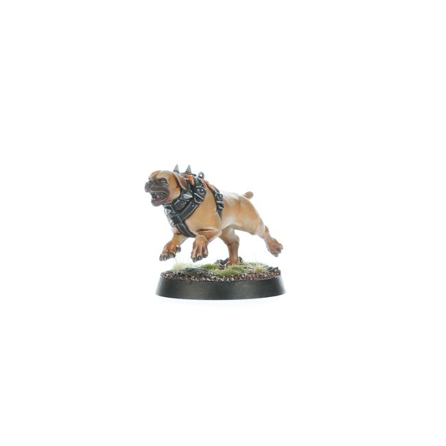 Regiment of Renown: Ven Denst's Hounds - view 14