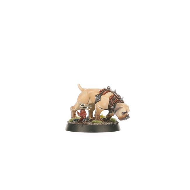 Regiment of Renown: Ven Denst's Hounds - view 15