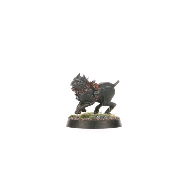 Regiment of Renown: Ven Denst's Hounds - view 16
