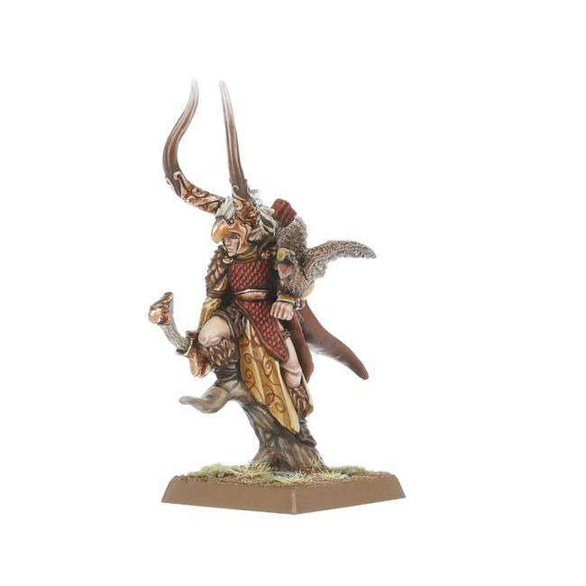 Wood Elf Nobles - view 4