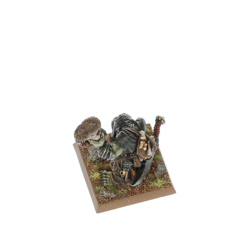 Acheter Warhammer - The Old World: Tribus des Orques & Gobelins - Chamane Gobelin - Games workshop - Jeux de figurines