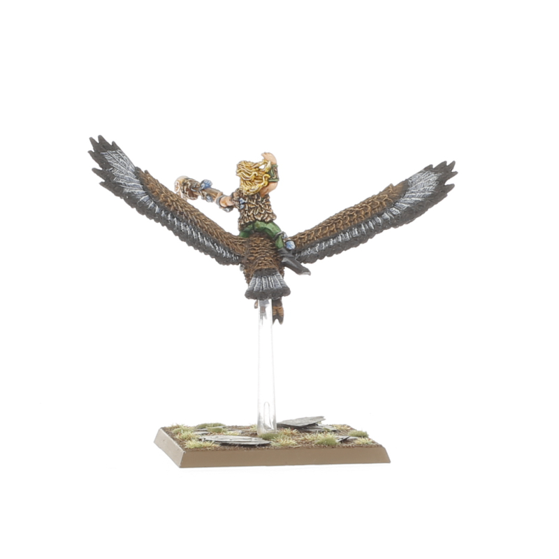 Wood Elf Mage on Warhawk