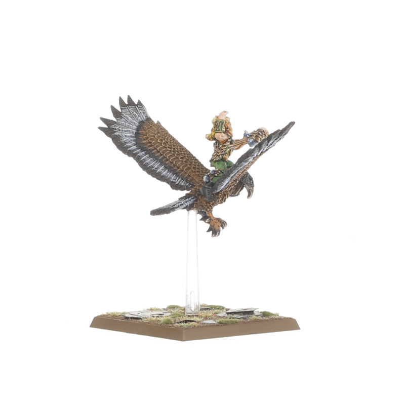Wood Elf Mage on Warhawk
