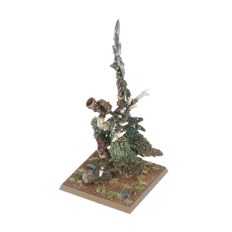 x1 Isharann Tidecaster Plastique Warhammer AOS | P-00HRA