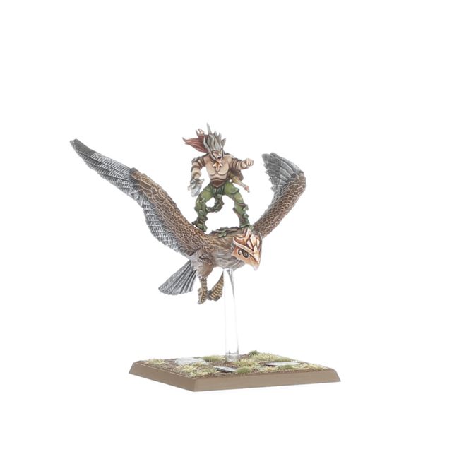Warhawk Riders - view 3