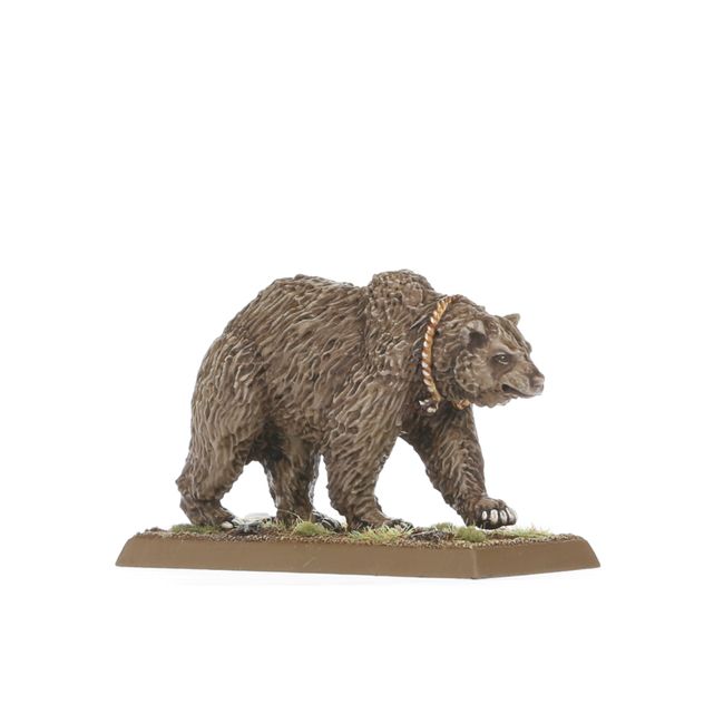 Wood Elf Beast Pack - view 2