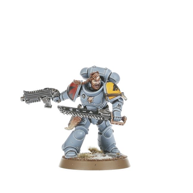 Grey Hunters - view 4