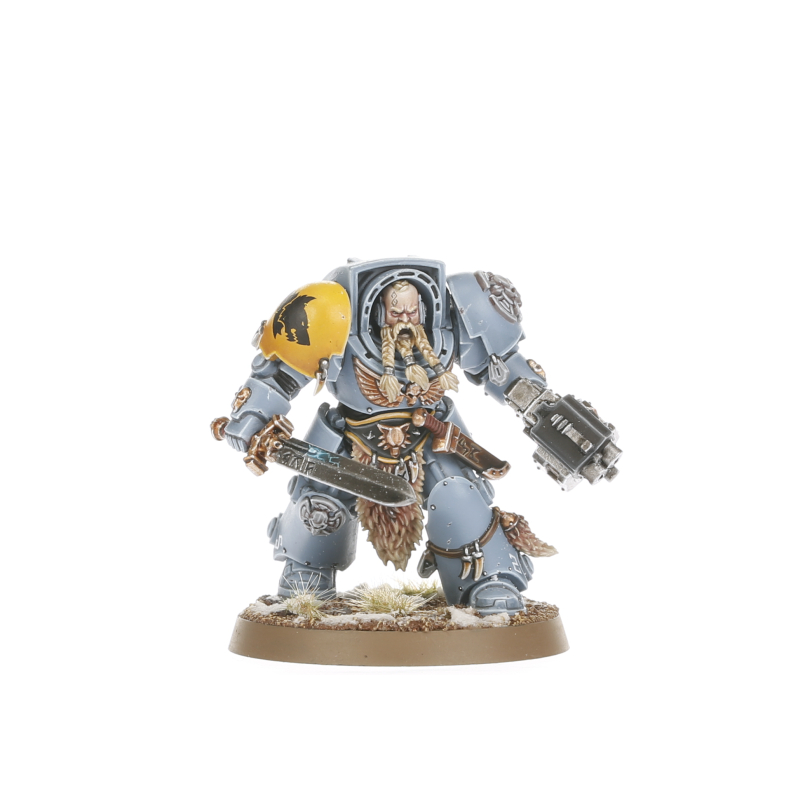 Wolf Guard Terminators