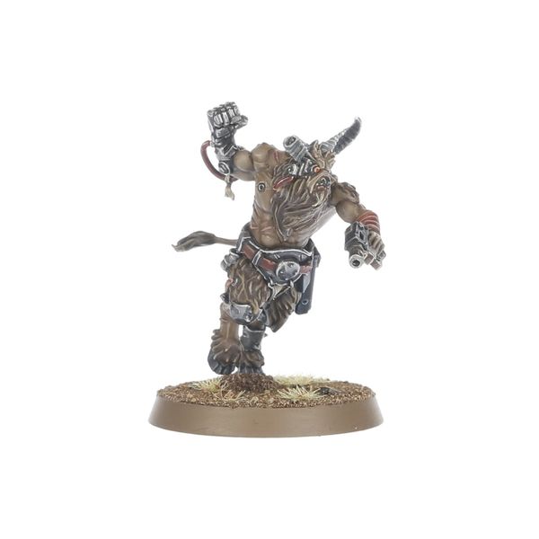 Fellgor Beastmen