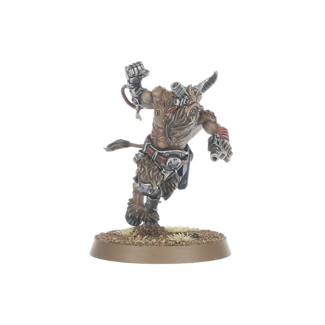 Fellgor Beastmen - view 4