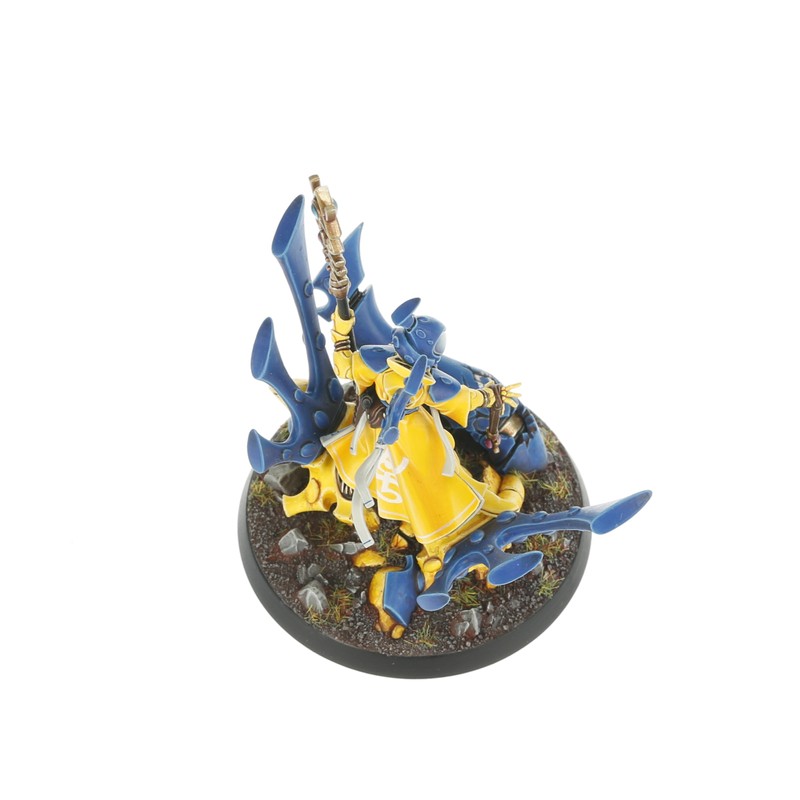 ブ*ス様 WARHAMMER Aeldari Infinity's Lament Warhammer+ Year 5