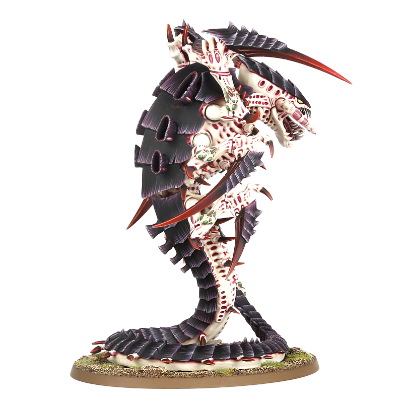 Trygon
