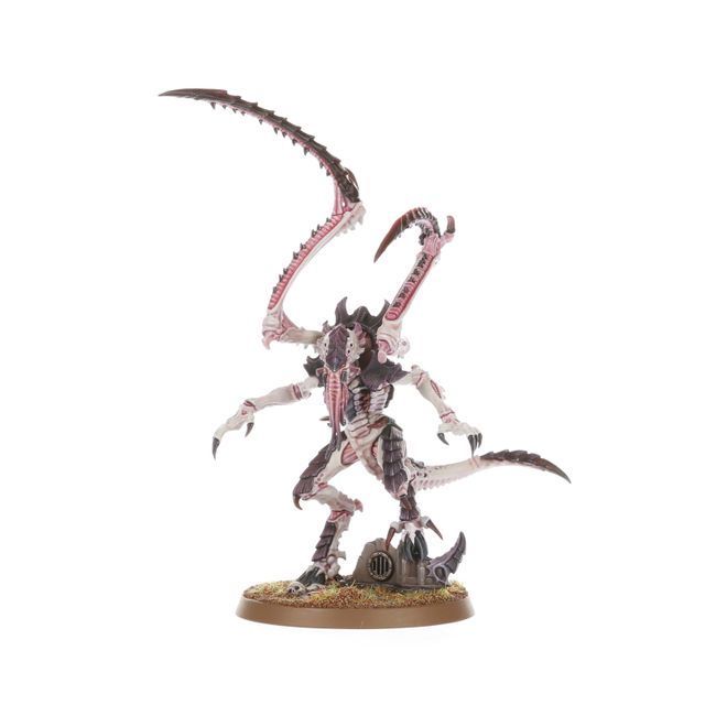 Lictor - view 2
