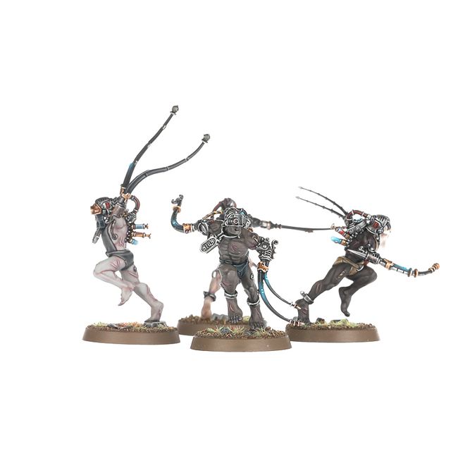 Arco-flagellants - view 4