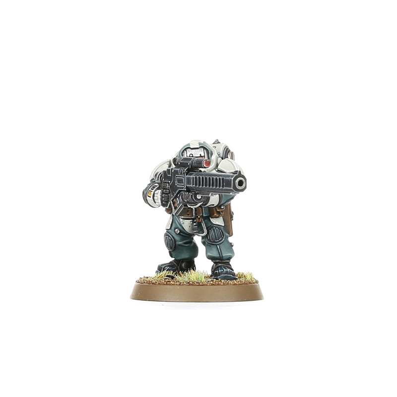 LEAGUES OF VOTANN 10 Hearthkyn Warriors #1 PRO PAINTED
