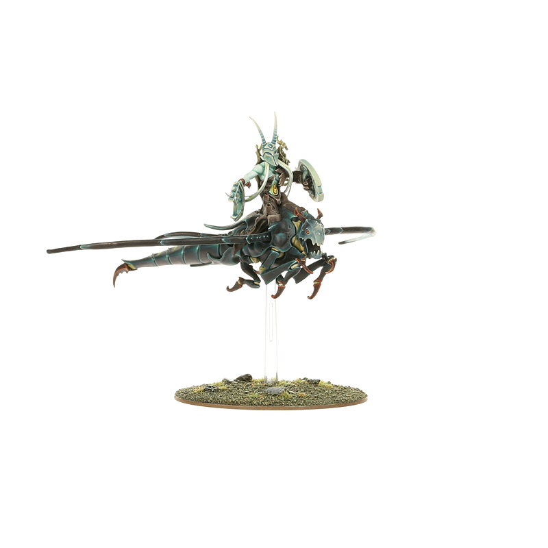 Spiterider Lancers
