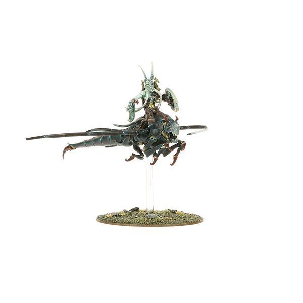 Spiterider Lancers