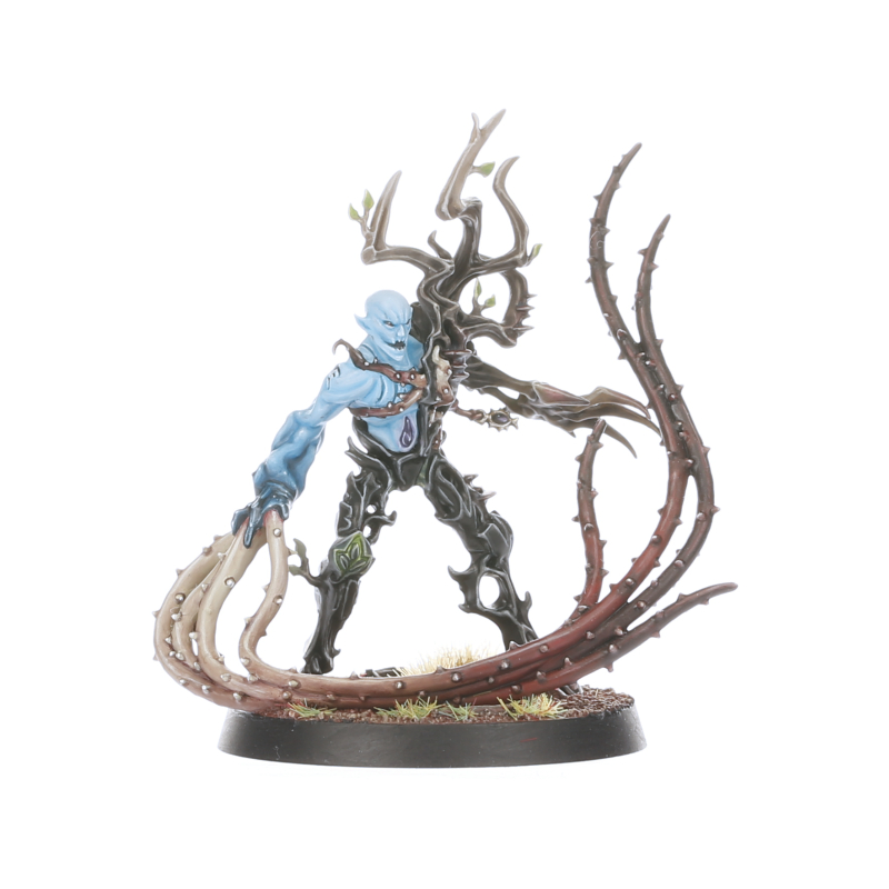 その他 Warhammer The Twisted Branch Sylvaneth Regiment of Renown: The Twisted Branch