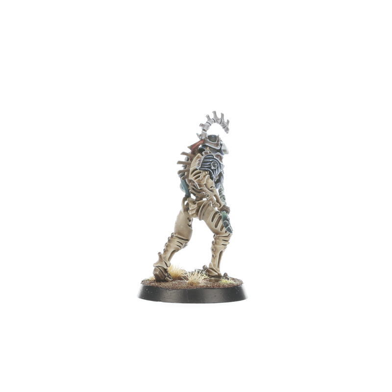 Teratic Cohort ウォーハンマー　ウォークライ ウォークライ】オシアークのニューウォーバンドTERATIC COHORT