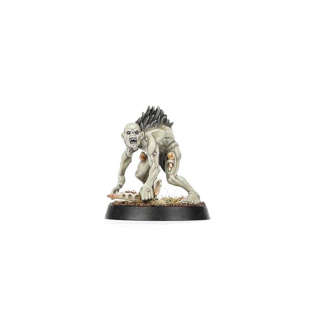 Spearhead: Flesh-eater Courts – Charnel Watch - view 16