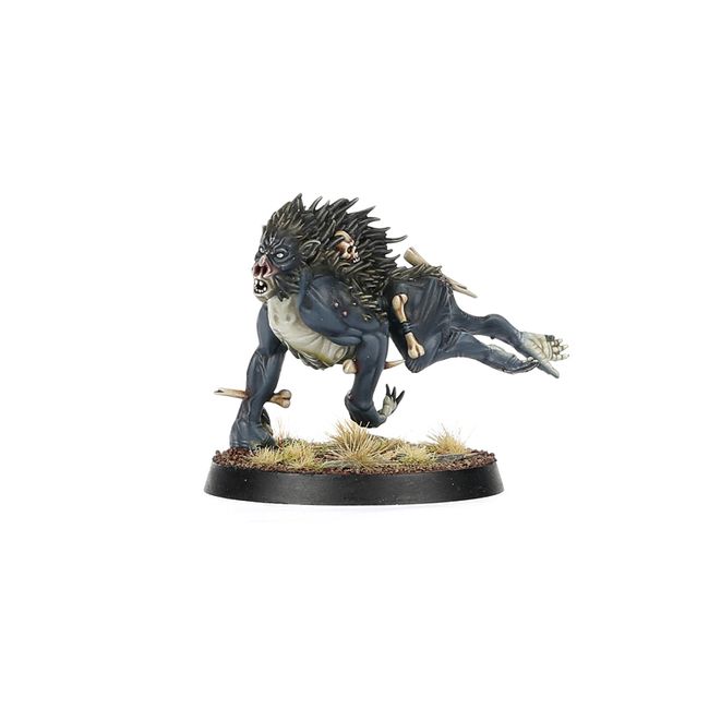 Spearhead: Flesh-eater Courts – Charnel Watch - view 11