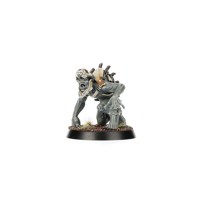 Spearhead: Flesh-eater Courts – Charnel Watch - view 12