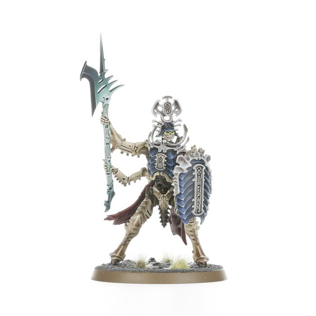Regiment of Renown: Heralds of the Bone-tithe - view 6