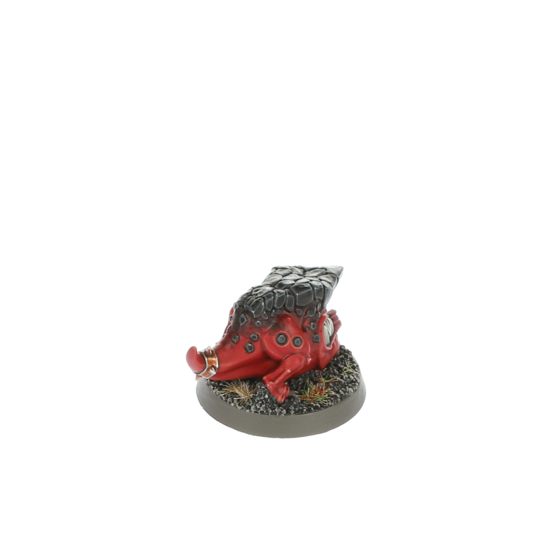 おかめWARHAMMER Zoggrok Anvilsmasha