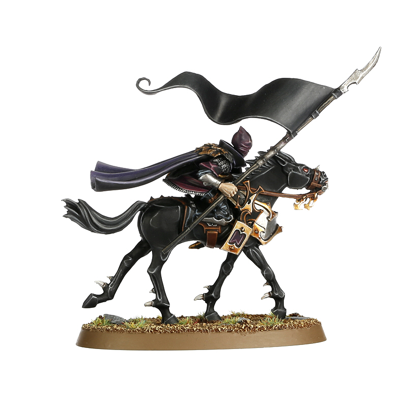 ダークエルフ　ウォーハンマー　The Old World ダークライダー $_57.JPG?set_id=880000500F