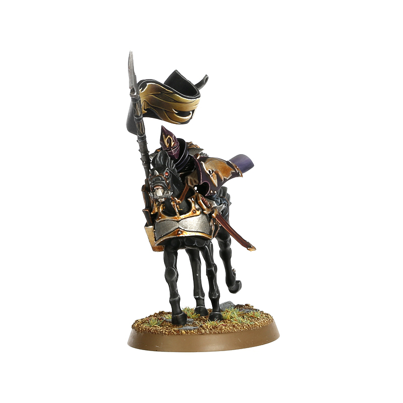 ダークエルフ　ウォーハンマー　The Old World ダークライダー imgrc0081000174.jpg