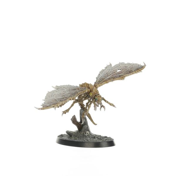 Ashwing Helamites