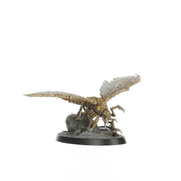 Ashwing Helamites