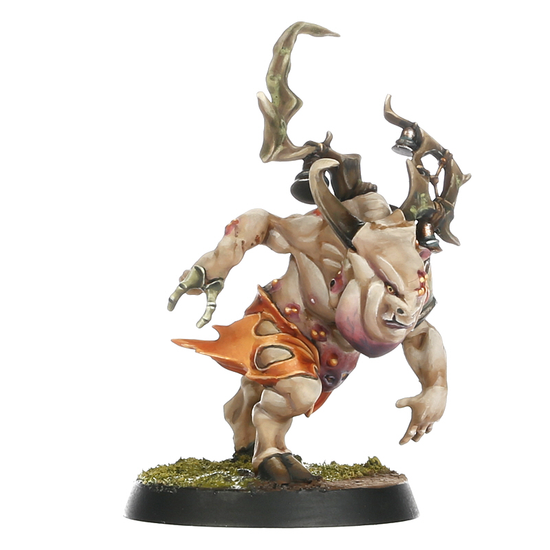 Nurgle’s Rotters - Nurgle Blood Bowl Team