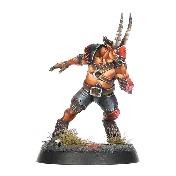 Chaos Chosen Team: The Doom Lords