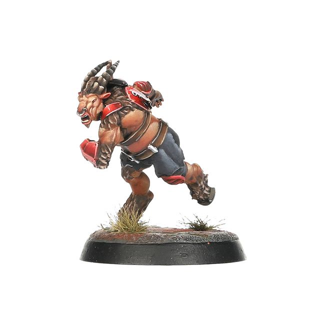 Chaos Chosen Team: The Doom Lords - view 6
